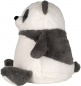 Preview: Plüsch Panda oder Braunbär (35cm) mit Motiv/Name & Datum