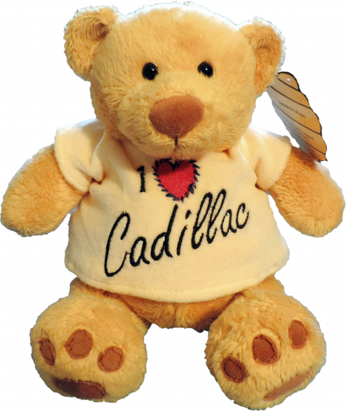 Teddy "Pummelchen" klein/ 26cm mit Minimotiv/Name & Datum bestickt
